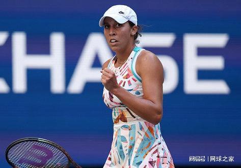 运用不仅提 运用不仅提